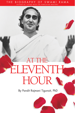 At the Eleventh Hour